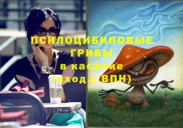 СК Алексеевка